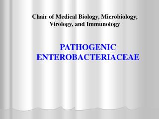 C hair of Medical Biology, M icrobiology, V irology, and I mmunology