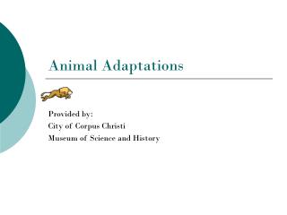 Animal Adaptations