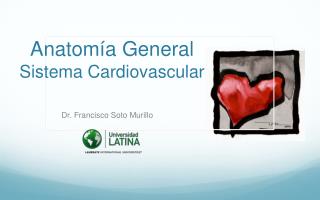 Anatomía General Sistema Cardiovascular