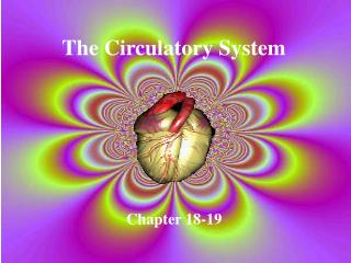 The Circulatory System