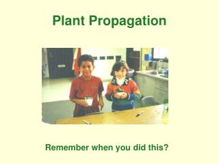 Plant Propagation