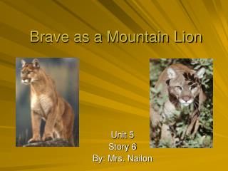 Brave as a Mountain Lion