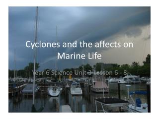 Cyclones and the affects on Marine Life