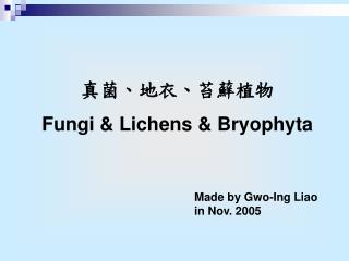 真菌、地衣、苔蘚植物 Fungi &amp; Lichens &amp; Bryophyta