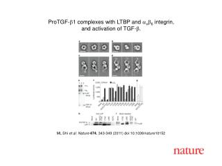 ML Shi et al. Nature 474 , 343 - 349 (2011) doi:10.1038/nature10152