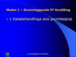 Modul 1 – Grunnleggande IT-forståing