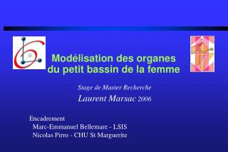 Modélisation des organes du petit bassin de la femme