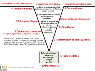 Determinación de Glucosa en Forrajes, sangre y orina