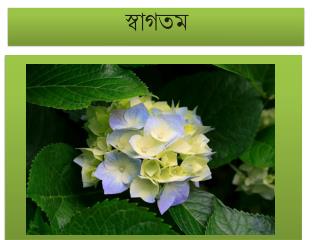 স্বাগতম