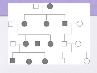 Maternal Inheritance