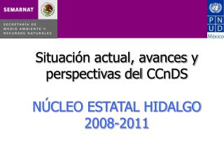 Situación actual, avances y perspectivas del CCnDS NÚCLEO ESTATAL HIDALGO 2008-2011