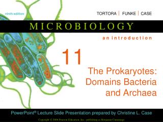 The Prokaryotes: Domains Bacteria and Archaea