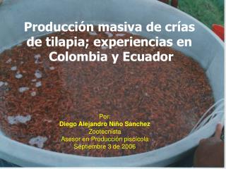 Producción masiva de crías de tilapia; experiencias en Colombia y Ecuador