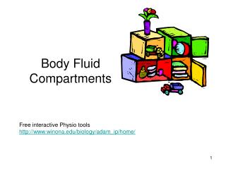 most significant solute in fluid compartments