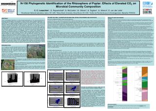 16S AND 18S rDNA CLASSIFICATION ANALYSIS, INITIAL PROCESSING AND STATISTICS