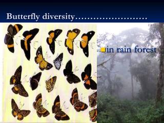 Butterfly diversity……………………