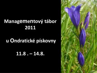 Manag em e n tový tábor 2011 u O ndratické pískovny 11.8 . – 14.8.