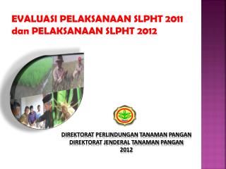 DIREKTORAT PERLINDUNGAN TANAMAN PANGAN DIREKTORAT JENDERAL TANAMAN PANGAN 2012