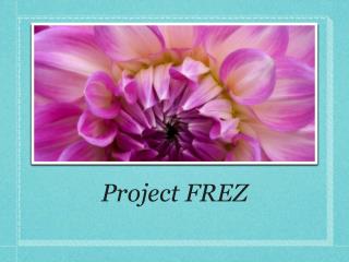 Project FREZ