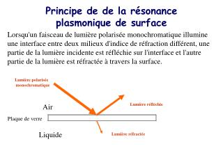 Principe de de la résonance plasmonique de surface