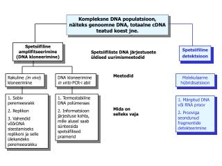 Kompleksne DNA populatsioon, näiteks genoomne DNA, totaalne cDNA teatud koest jne.