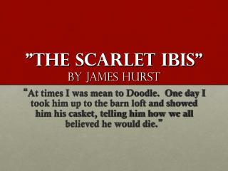 &quot;The Scarlet Ibis&quot; by James Hurst