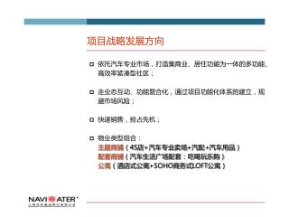 项目战略发展方向