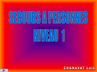 SECOURS A PERSONNES NIVEAU 1