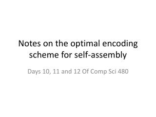 Notes on the optimal encoding scheme for self-assembly