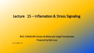 Lecture 	 15 – Inflamation &amp; Stress Signaling