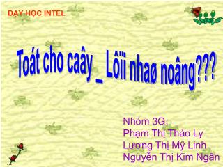 Nhóm 3G: Phạm Thị Thảo Ly Lương Thị Mỹ Linh Nguyễn Thị Kim Ngân
