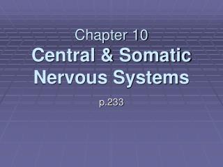 Chapter 10 Central & Somatic Nervous Systems
