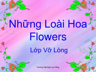 Những Loài Hoa Flowers