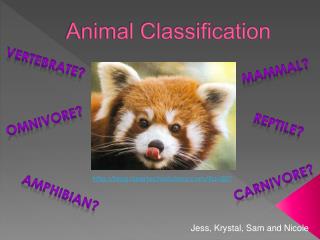 Animal Classification