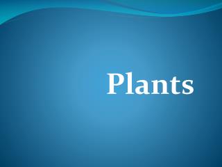 Plants