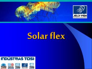 Solar flex