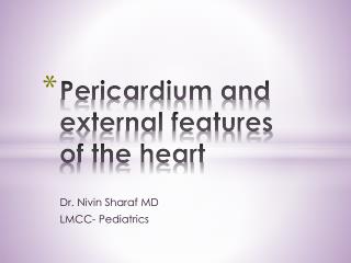 Pericardium and external features of the heart