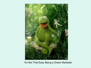 It’s Not That Easy Being a Green Marketer
