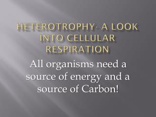 Heterotrophy- a look into Cellular Respiration