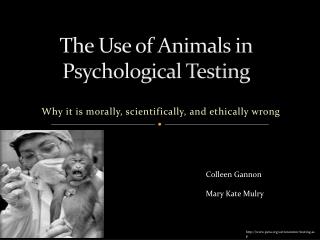 The Use of Animals in Psychological Testing
