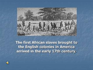 Slaves Picking Cotton
