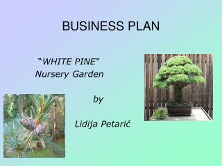 BUSINESS PLAN