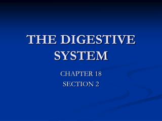 THE DIGESTIVE SYSTEM