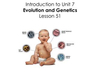 Introduction to Unit 7 Evolution and Genetics Lesson 51