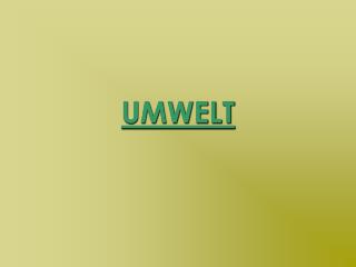 UMWELT