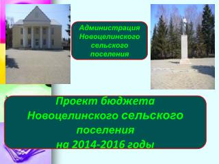 Проект бюджета Новоцелинского сельского поселения на 2014-2016 годы