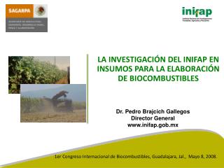 LA INVESTIGACIÓN DEL INIFAP EN INSUMOS PARA LA ELABORACIÓN DE BIOCOMBUSTIBLES