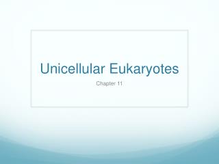 Unicellular Eukaryotes