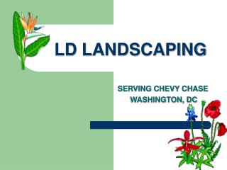 LD LANDSCAPING