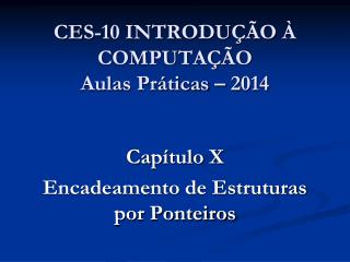 CES-10 INTRODUÇÃO À COMPUTAÇÃO Aulas Práticas – 2014